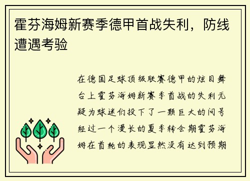 霍芬海姆新赛季德甲首战失利，防线遭遇考验